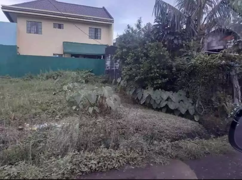 RUSH Lot for Sale in Modern Village, Pili CamSur
