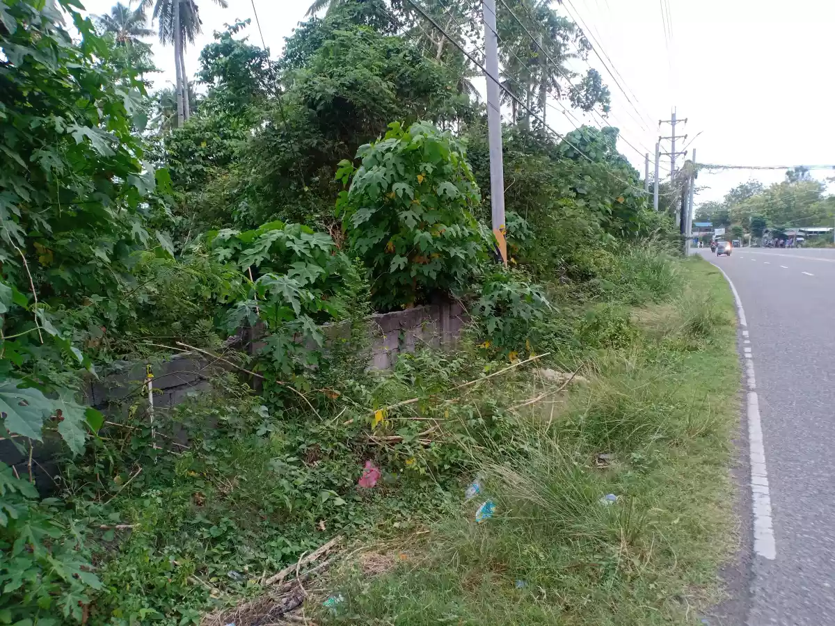 1,000 sqm Beach Lot (2nd lot from hway) — Beach Lot in General Santos City, South Cotabato, Philippines — Photo 3