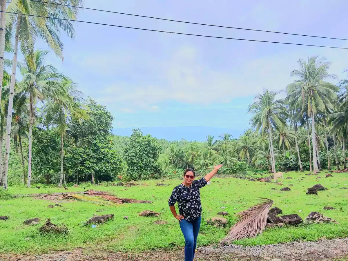 Overlooking Lot for Sale In Maningcao,Sibulan,Negros Oriental - photo 6