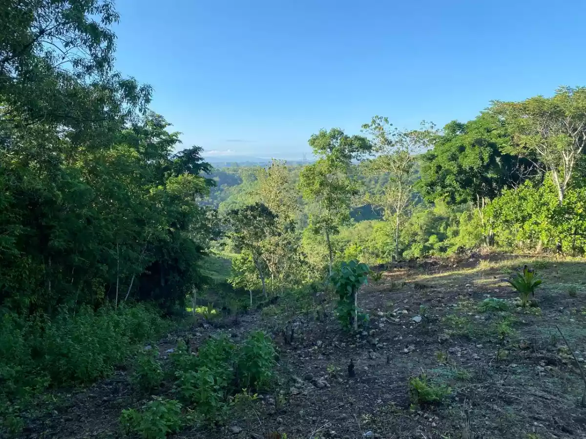 Open photo 19 of 27 — Over Looking LOT FOR SALE along Brgy Road Bayanga, Cagayan de Oro City