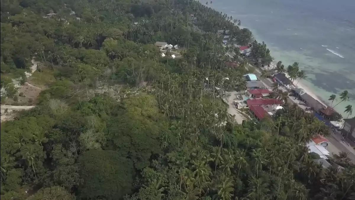 Lot Near The Beach in San Juan, Siquijor - photo 2