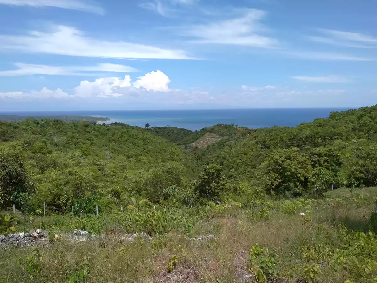 Overlooking Lot for Sale - photo 4