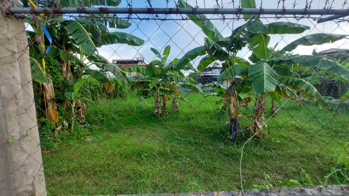 Lot for lease - photo 3