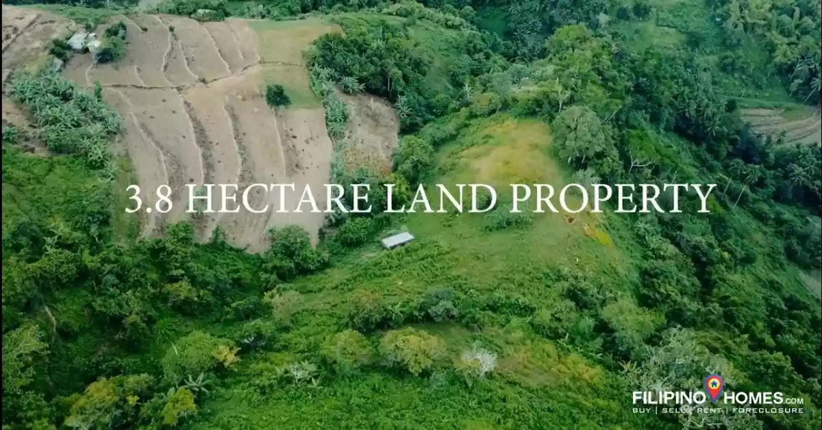 LOT in Don Salvador for sale — Agricultural Lot in Negros Occidental, Philippines — Photo 7