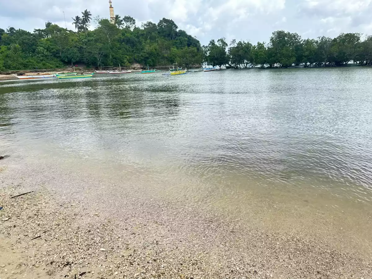 Farm and Beach lot for Sale in Quezon Province — Agricultural Lot in Quezon, Philippines — Photo 6