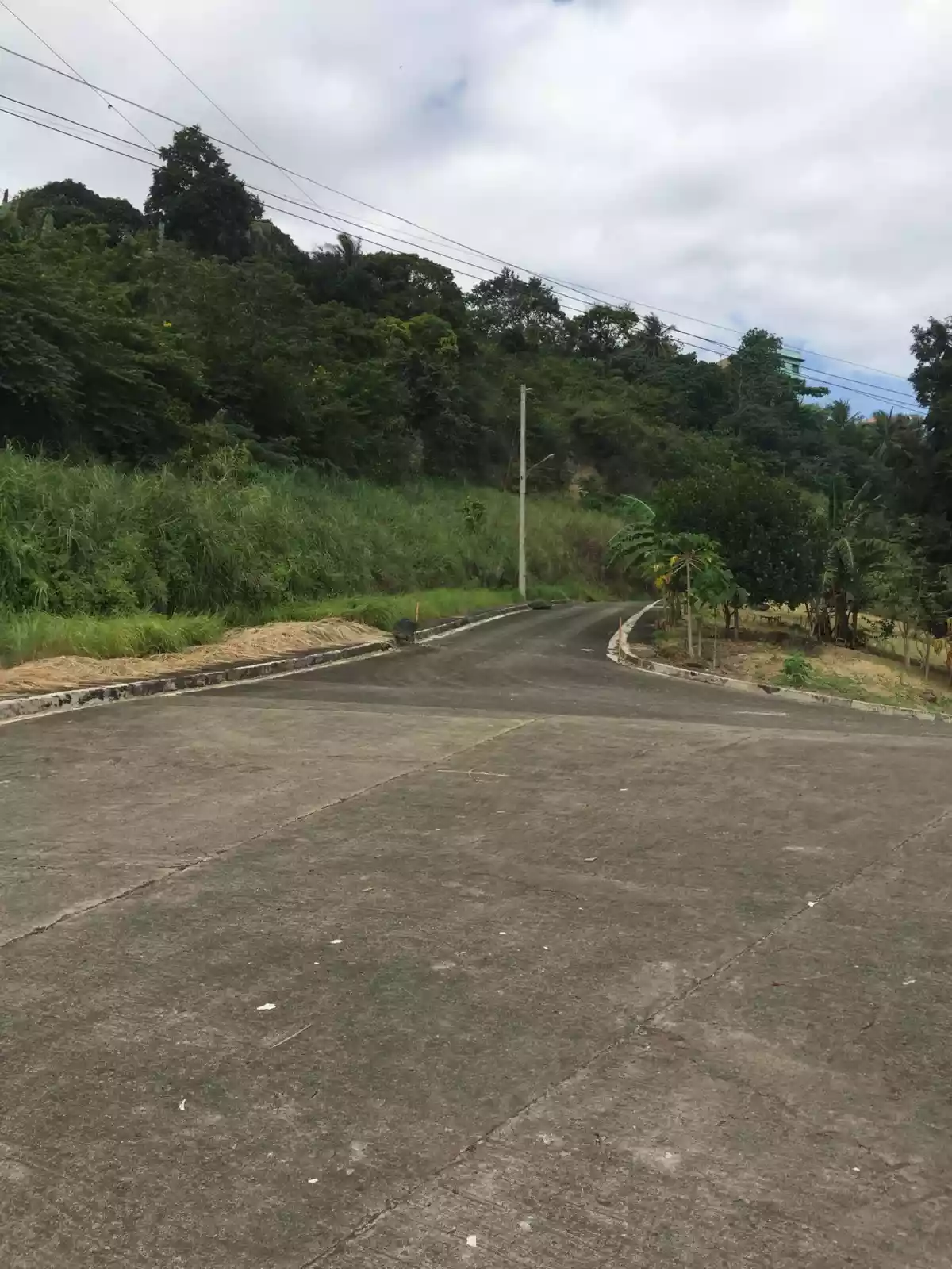Titled lot inside Pacific Heights subdivision Barangay Bulacao - photo 6
