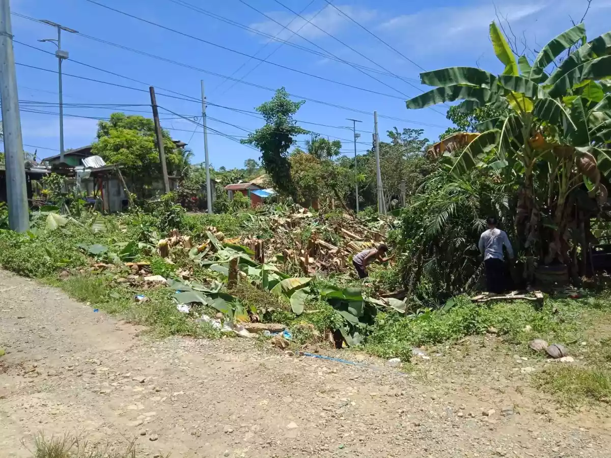 Lot for Sale in Toledo City Cebu - photo 2