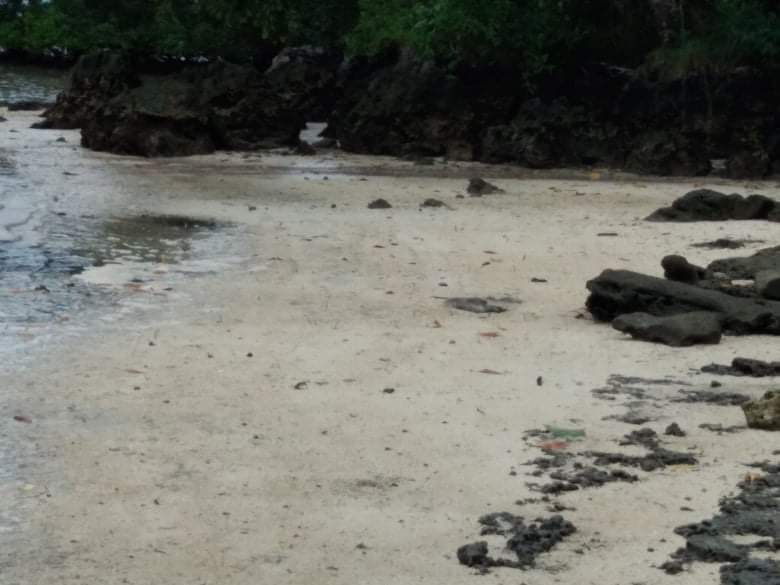 BeachLot For Sale in Gen Luna Surigao del Norte Siargao - photo 7