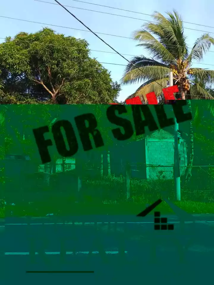 20,000 SQ.M. (Agricultural/Residential/Industrial) LOT — Agricultural Lot in Camarines Sur, Philippines — Photo 2