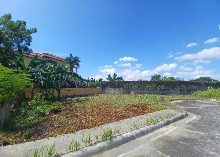Phase 1 Corner Lot in Corona Del Mar - photo 4