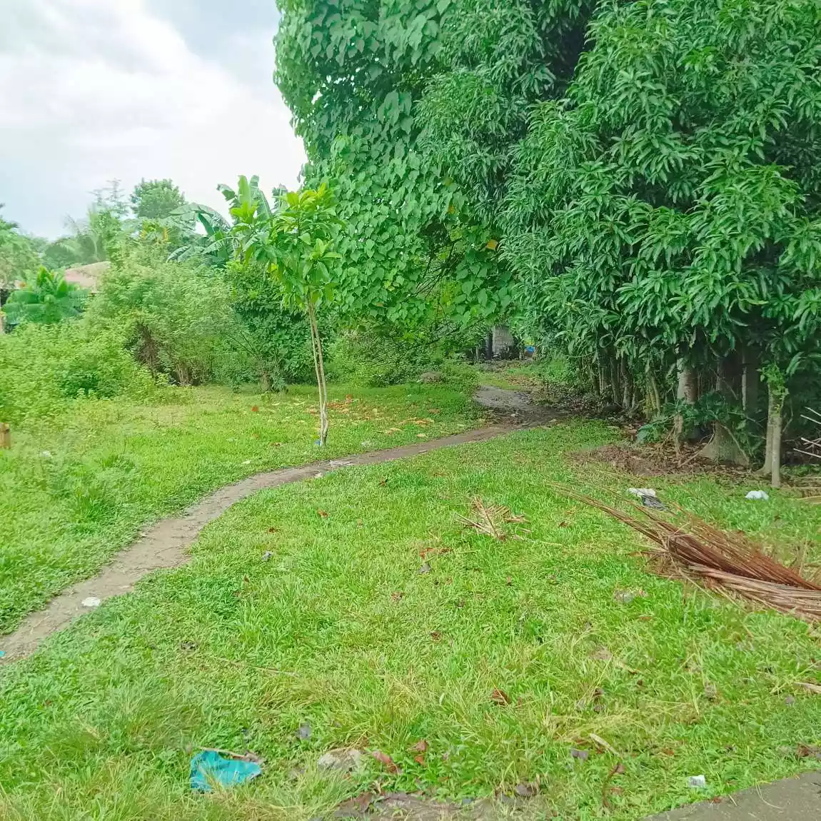 RUSH SALE MOTONG LOT ONLY — Residential Lot in Motong Road, Dumaguete, Negros Oriental — Photo 2
