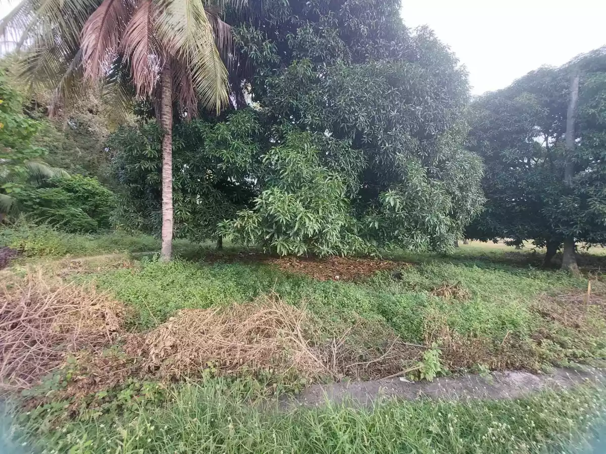 LOT FOR SALE - photo 6