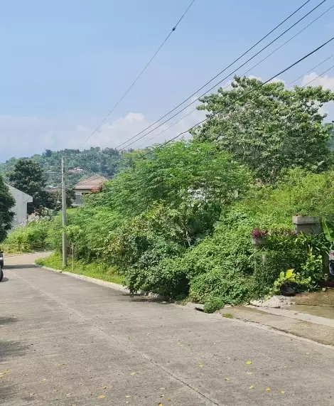 Kishanta Lot for Sale — Residential Lot in Talisay, Cebu, Philippines — Photo 3