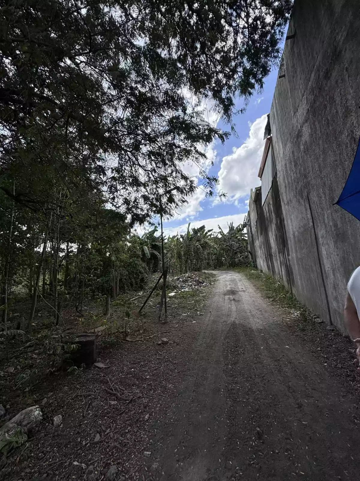 TITLED LOT FOR SALE in Biasong Talisay  - photo 4