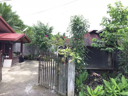 FOR SALE HOUSE AND LOT!  - photo 3
