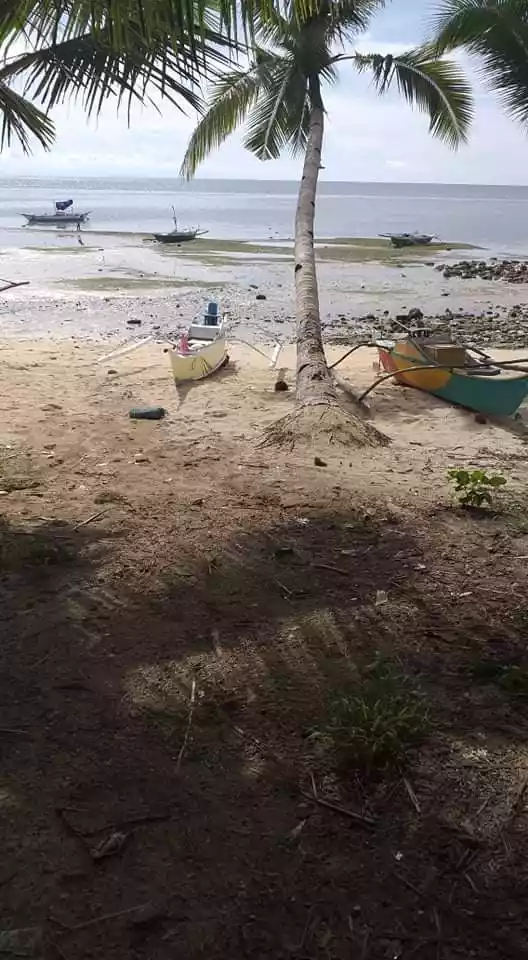 Beach lot  - photo 4