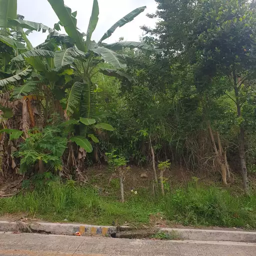 For Sale: Residential Lot at Pacific Heights 
