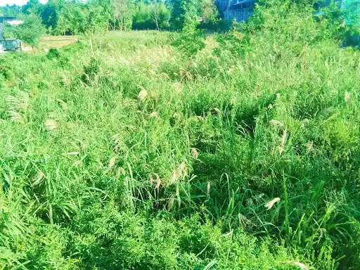 1013 Sq.m lot for sale 