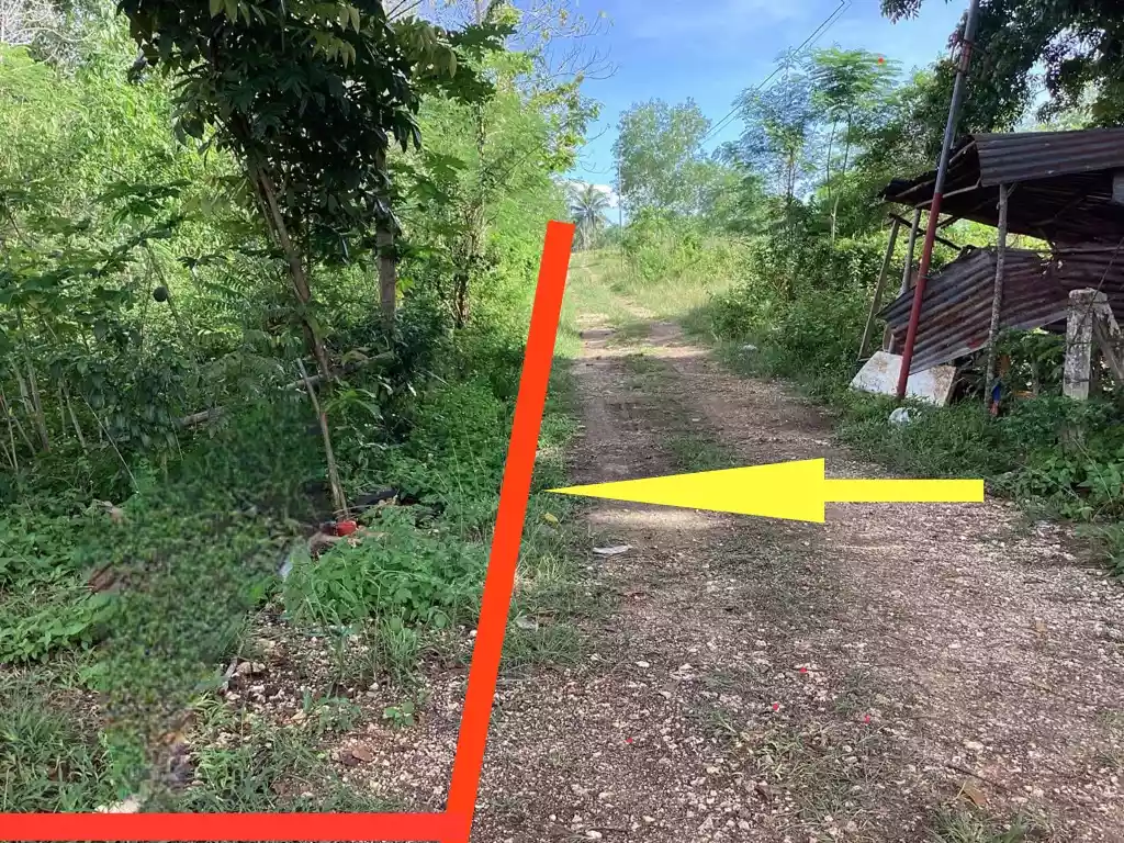 Commercial/Residential Lot in Dauis, Panglao — Commercial Lot in Dao, Dauis, Bohol — Photo 5