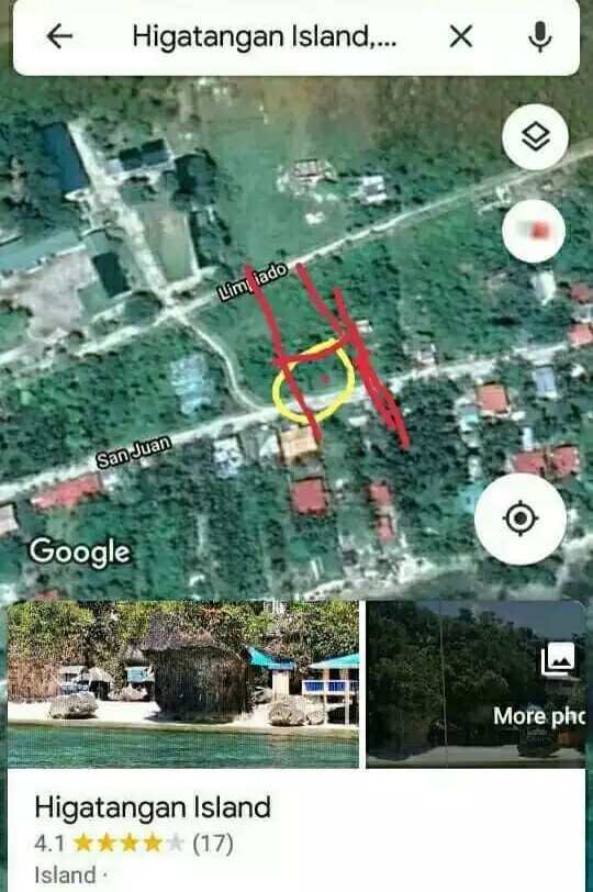 Agricultural Land in the Island - photo 6