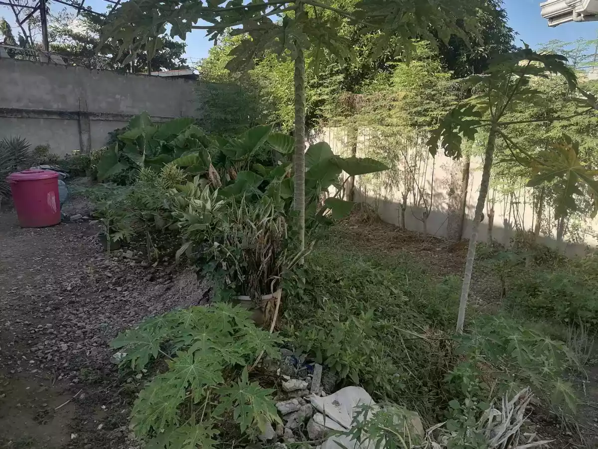 Lot for Sale in Basak Lapu Lapu - photo 5