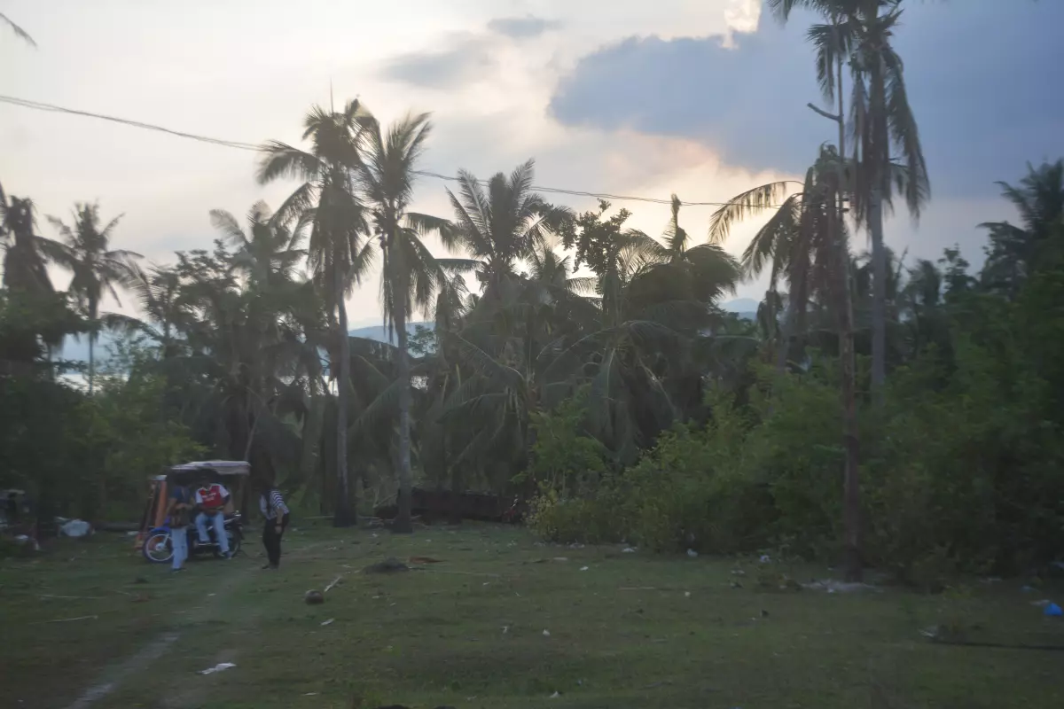 LOT FOR SALE IN CARCAR (LOT 2) - photo 6