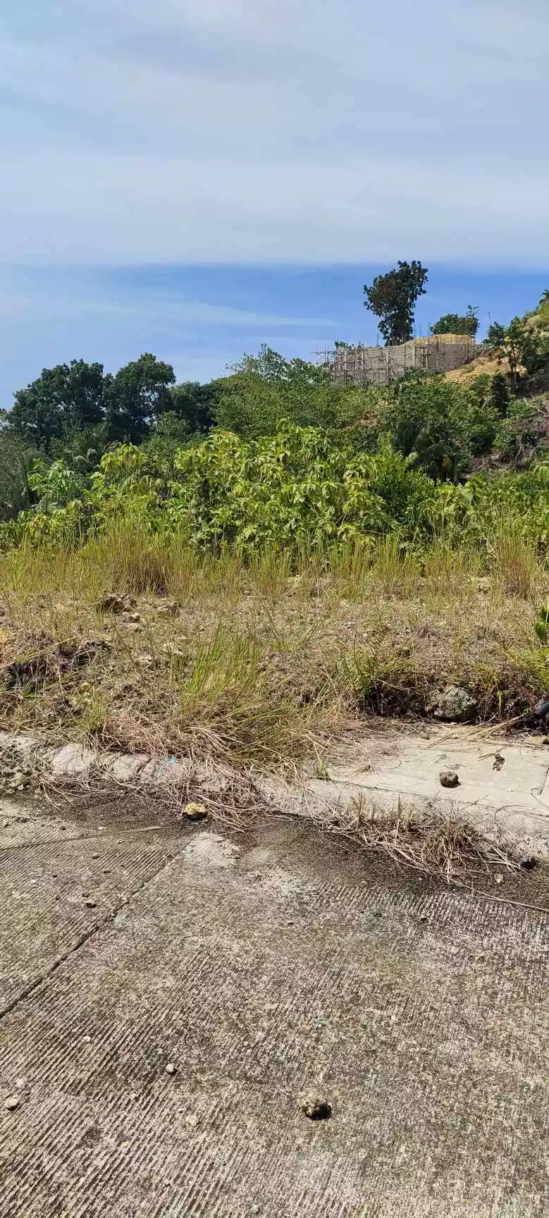 For Sale Lot Only in Verona Subdivision Balamban — Residential Lot in Cebu City, Cebu, Philippines — Photo 4
