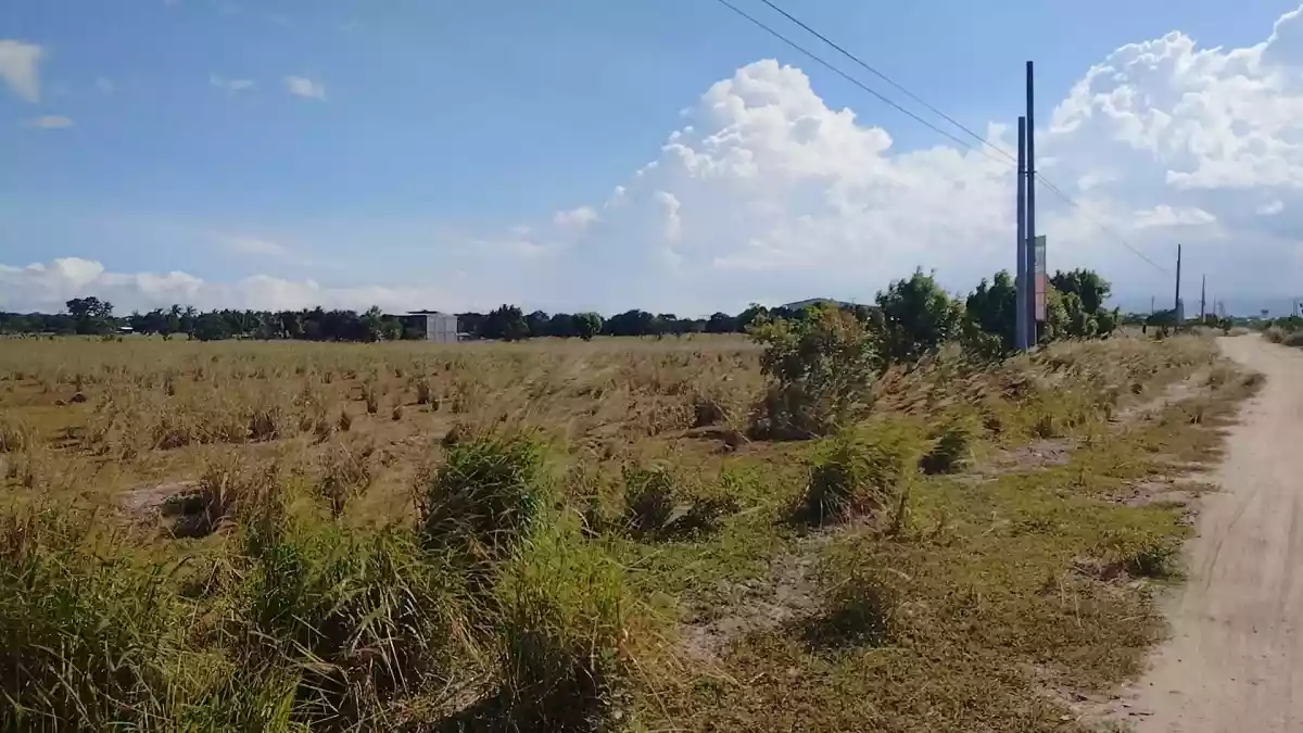 LOT FOR SALE — Agricultural Lot in General Santos City, South Cotabato, Philippines — Photo 3