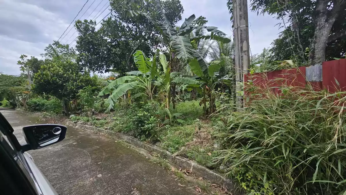 RARE FIND RESIDENTIAL LOT IN CARMELA EXECUTIVE TALISAY CITY  - photo 3