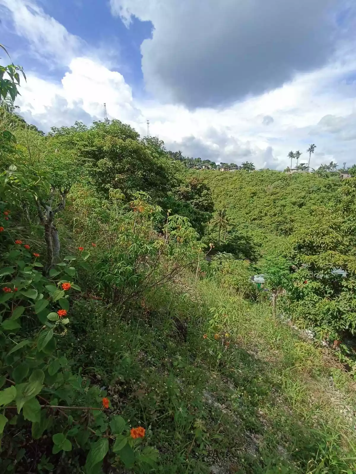Overlooking city View 800 SQM. Lot for sale in San Carlos Heights Pardo — Residential Lot in Cebu City, Cebu, Philippines — Photo 5