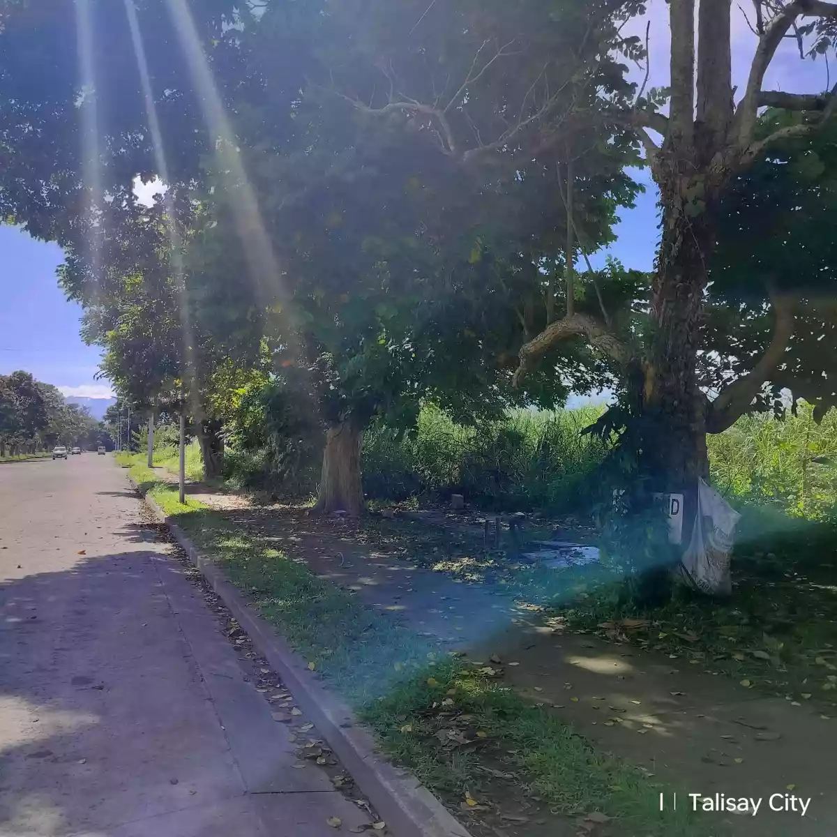 RUSH SALE! COMMERCIAL LOT IN AYALA NORTH POINT - photo 6