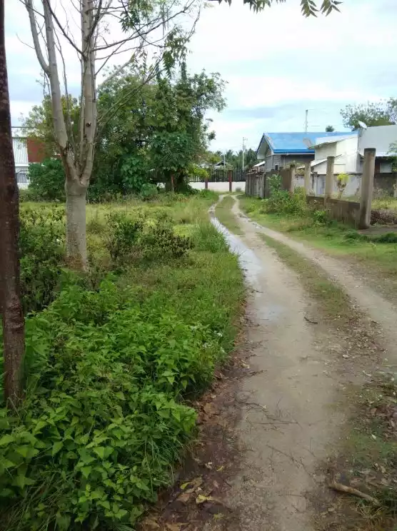 Lot only in Sta Fe Bantayan Island For Sale — Residential Lot in Santa Fe, Cebu, Philippines — Photo 4
