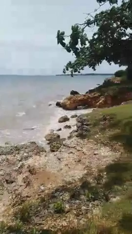 white sand beach lot for sale - photo 4