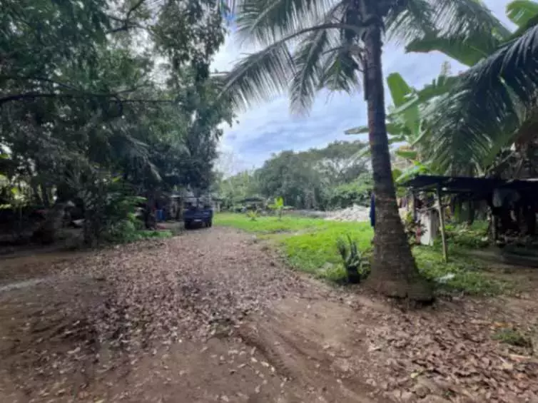 For Sale: Agricultural Lot in Lalaan I, Silang — 1,000 sqm — Agricultural Lot in Silang, Cavite, 4118 — Photo 2