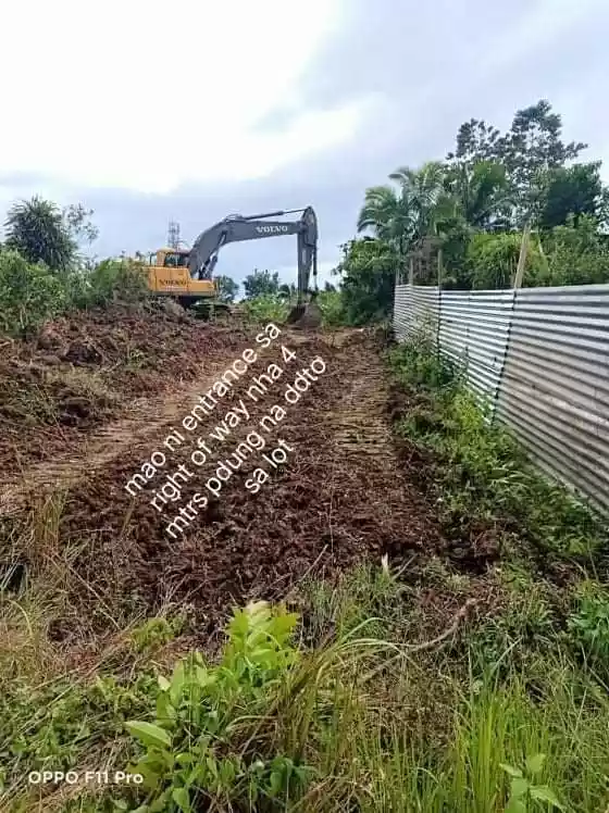 Tagbilaran Bohol Lot for Sale  - photo 6
