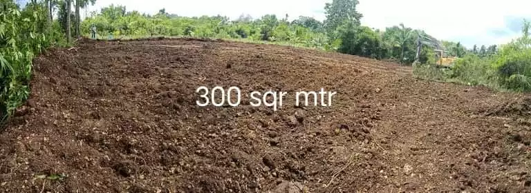 Tagbilaran Bohol Lot for Sale  - photo 3