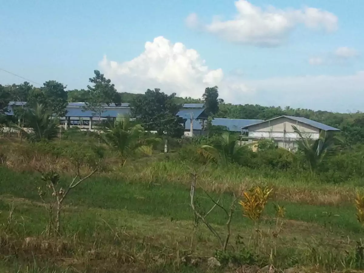 PIGGERY FOR SALE — Agricultural Lot in Negros Oriental, Philippines — Photo 6
