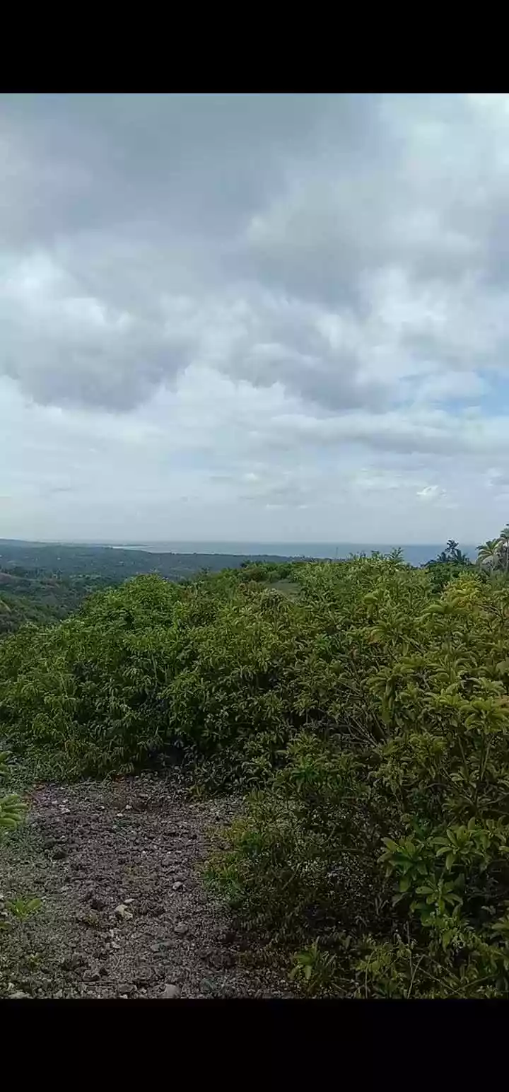 Banhigan Residential Lot — Residential Lot in Cebu, Philippines — Photo 5
