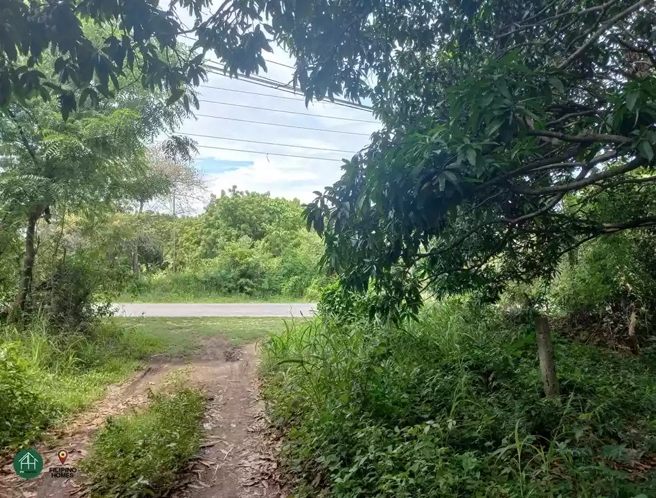21 Hectare Lot in Calatagan, Batangas — Agricultural Lot in Calatagan, Batangas — Photo 3