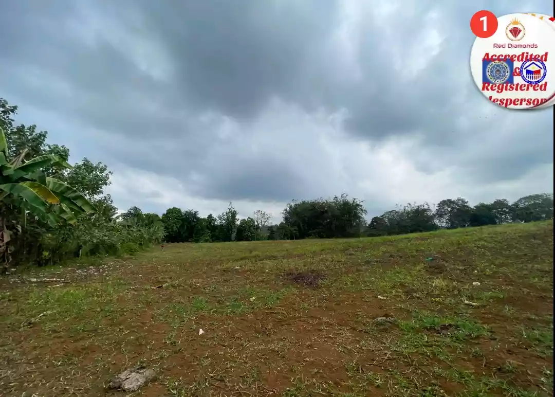 3.8 HA agricultural lot for sale at Baungon Bukidnon — Agricultural Lot in Baungon, Bukidnon, Philippines — Photo 5