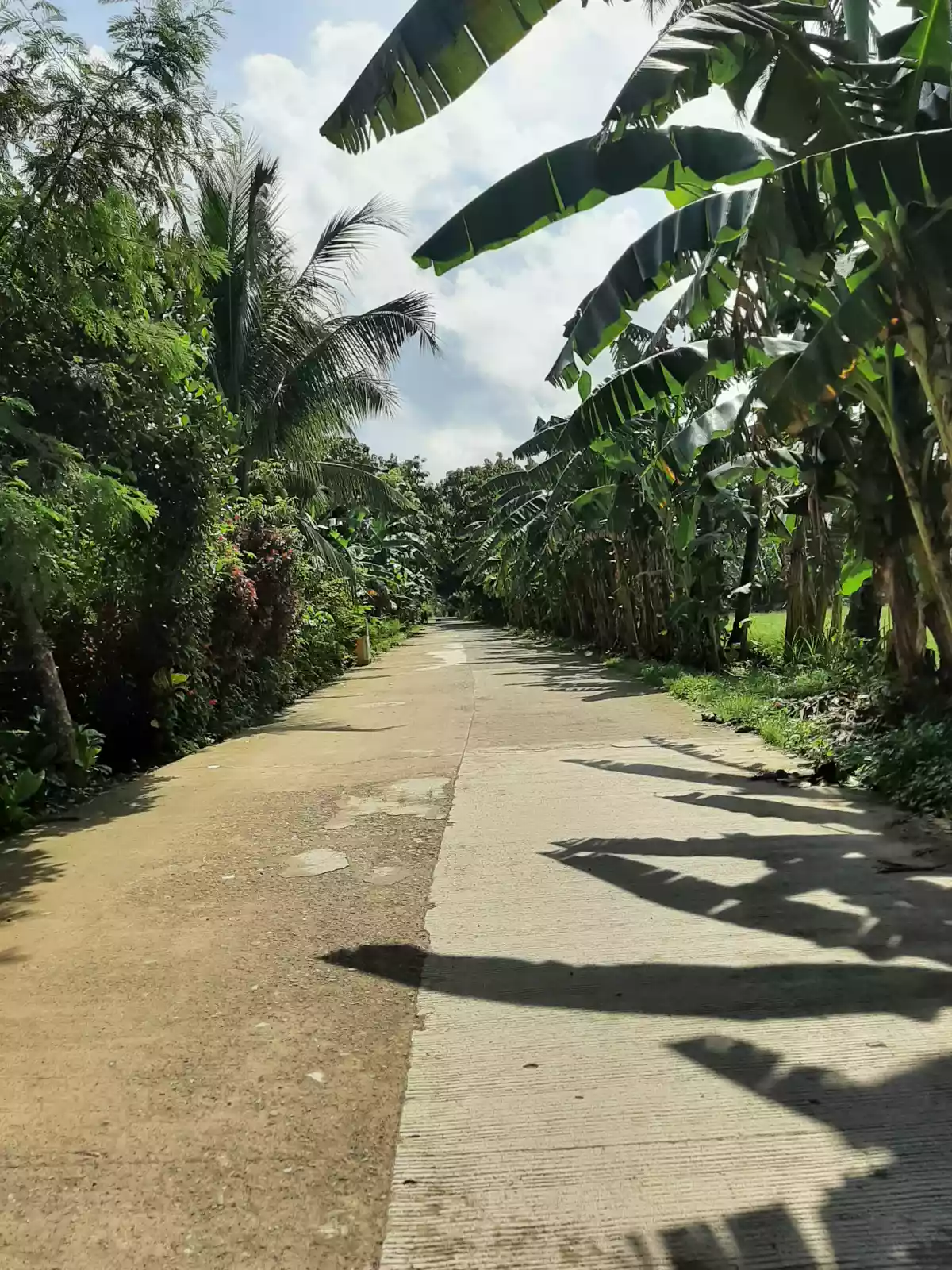 Open photo 18 of 20 — Lot For Sale!!