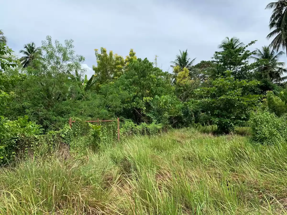 For Sale 801 sqm Lot in Lagao