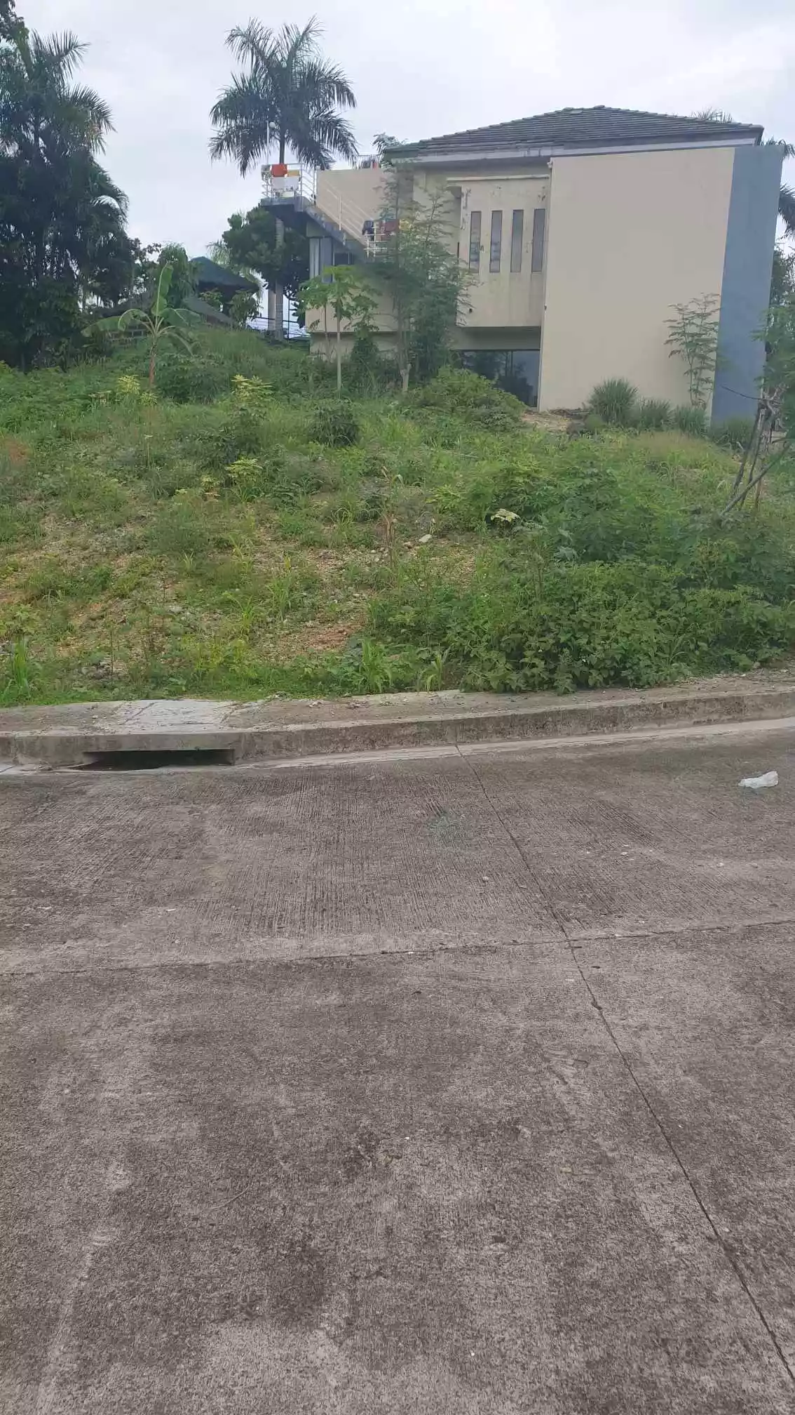 Vista montana — Residential Lot in Casili Road, Cubacub, Mandaue City — Photo 5