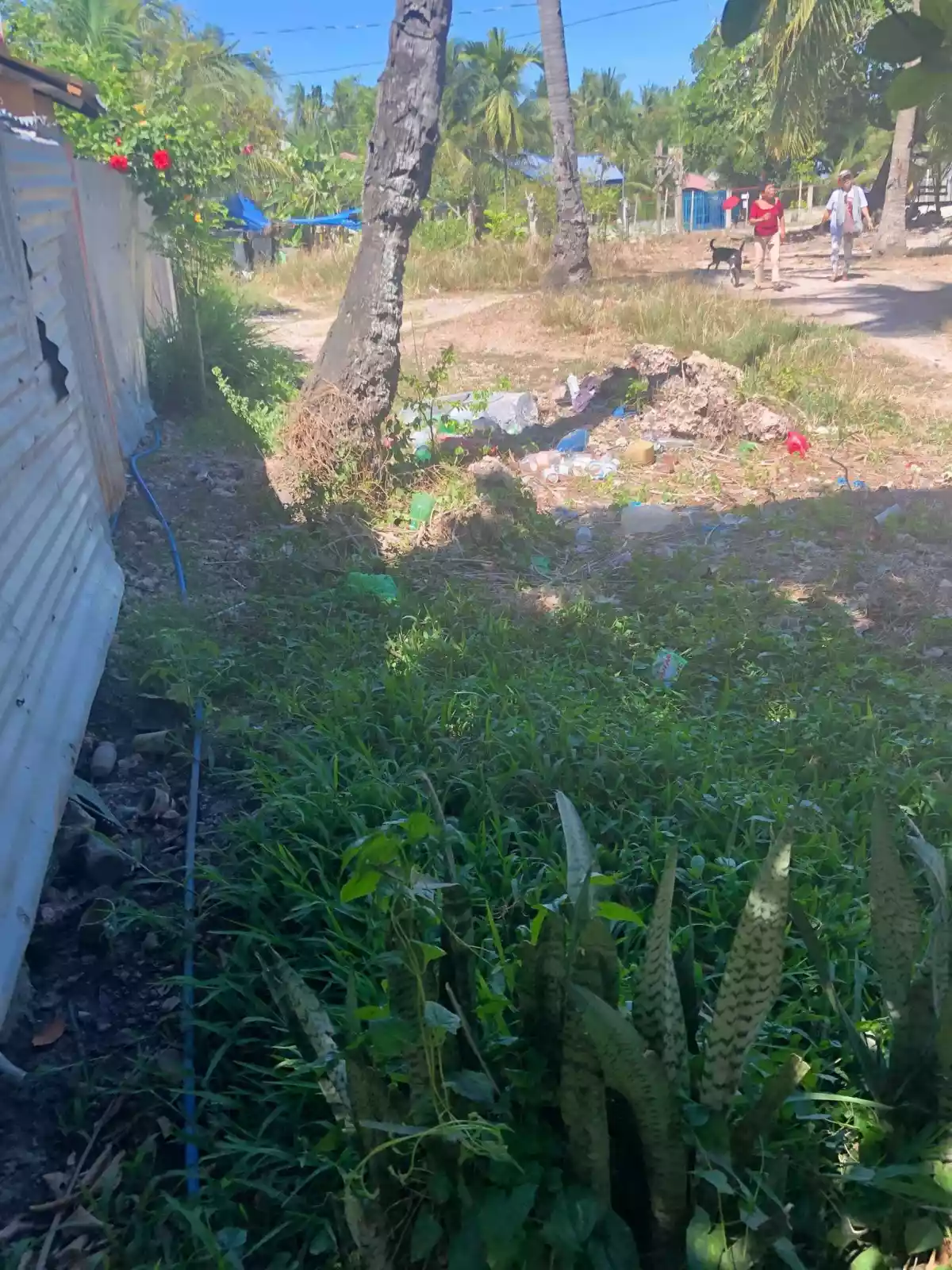 406 SQM IN NAGA CEBU