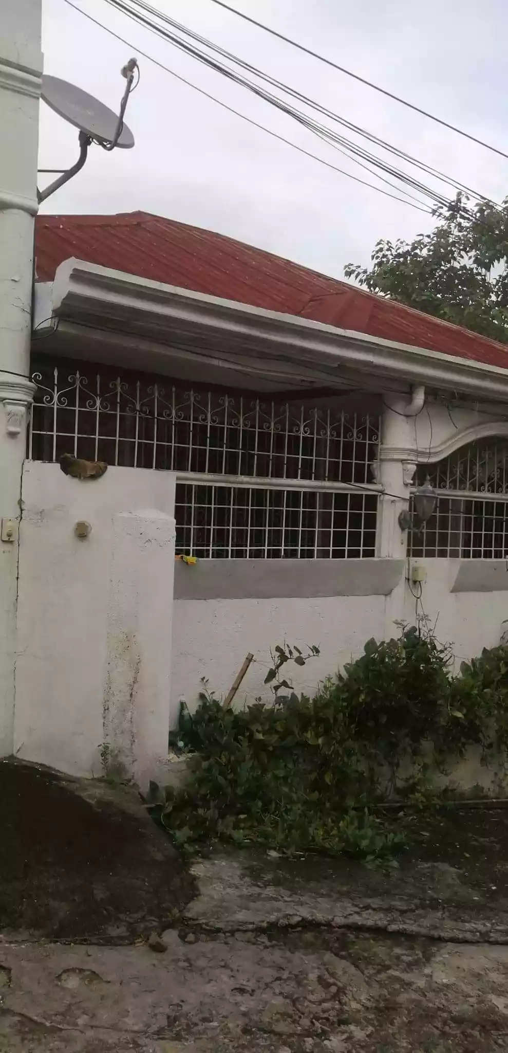 FOR SALE House and Lot in Forest Hills Subd.  - photo 4