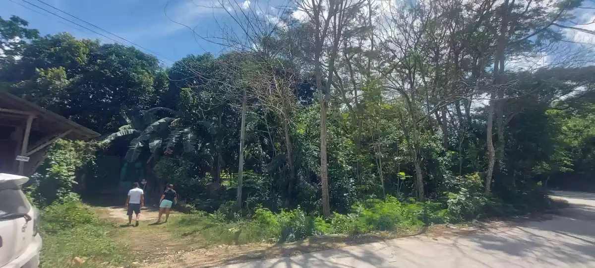 Lot for sale - photo 3