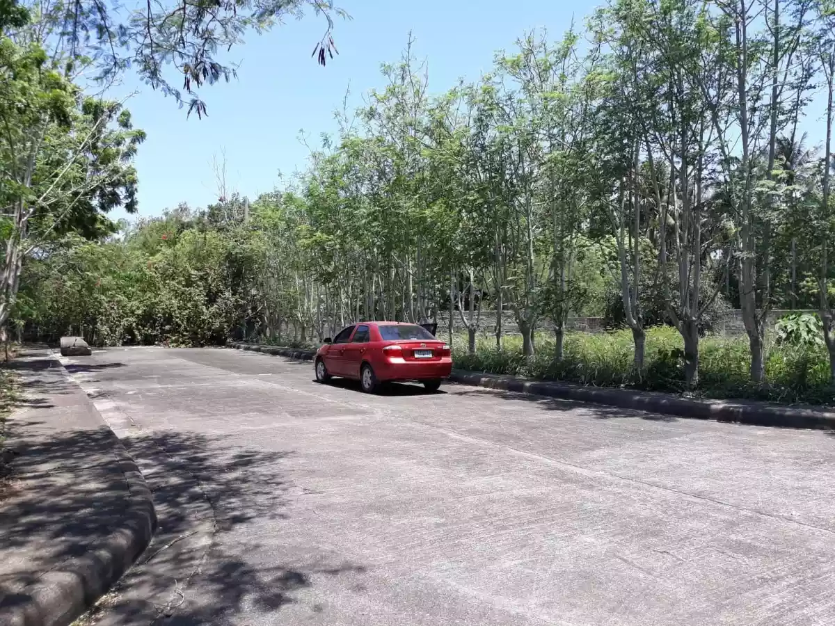Rush Sale!!! 358 sqm Titled Lot inside Vista Mar Subdivision Lapu-Lapu City - photo 4