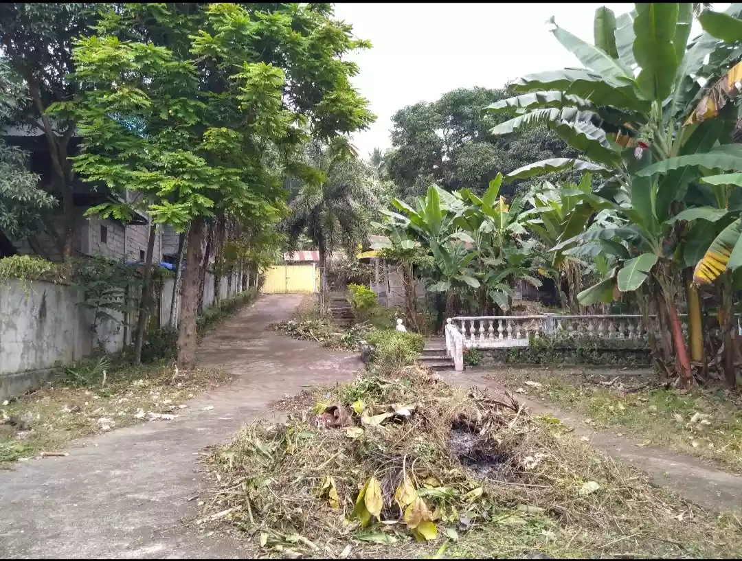 Beach Resort forsale - photo 4