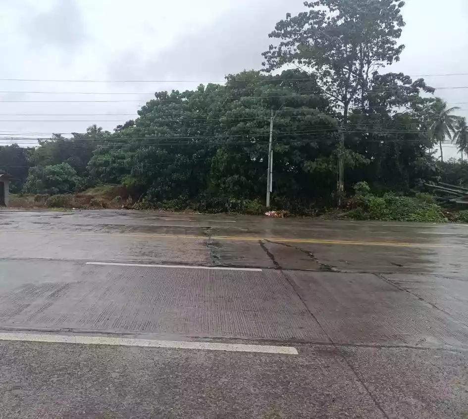 For Lease/ Rent- LOT only ( 48K per month ) situated at the industrial zone  along the MAIN HIGHWAY of Digos City. — Industrial Lot in Davao del Sur, Philippines — Photo 4