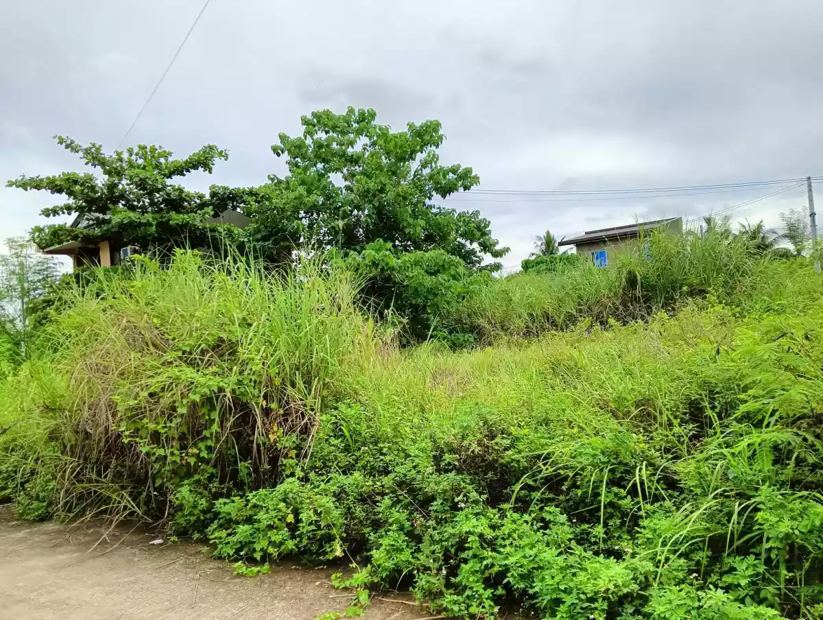 LOT FOR SALE IN LILOAN, CEBU - photo 2